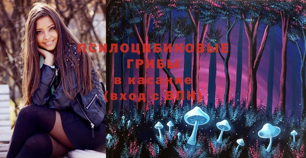 марки lsd Бикин