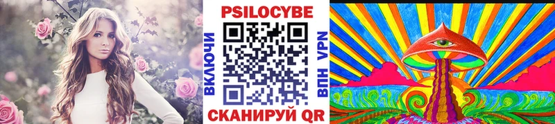 hydra онион  купить закладку  Зеленогорск  Галлюциногенные грибы GOLDEN TEACHER 