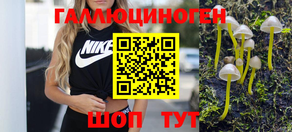 Псилоцибиновые грибы GOLDEN TEACHER Зеленогорск