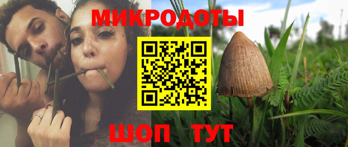 Галлюциногенные грибы Cubensis  Зеленогорск 