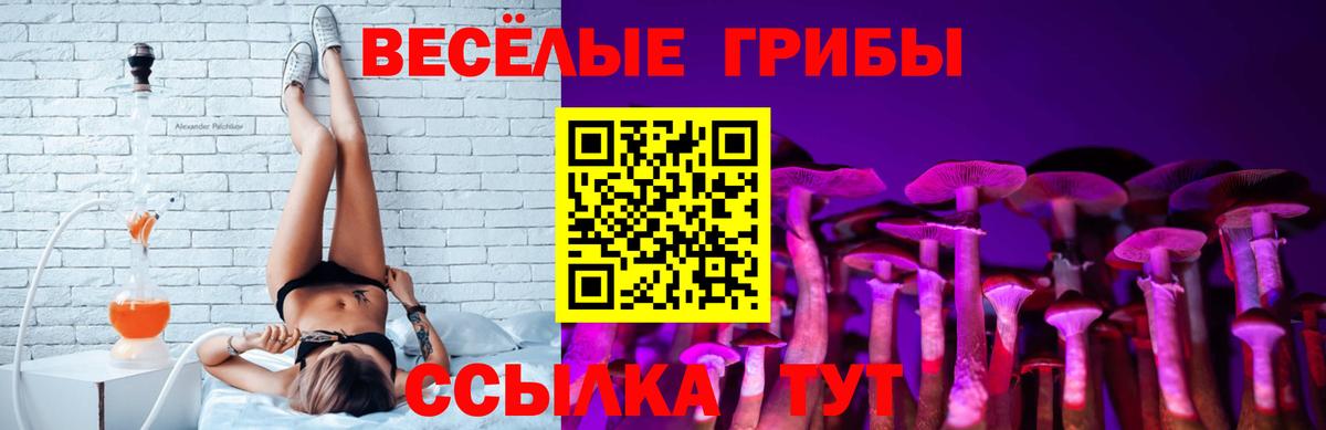 Зеленогорск  Галлюциногенные грибы Cubensis  Вход с VPN 